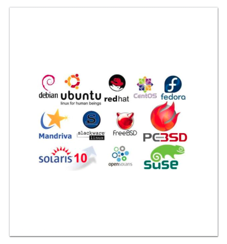 360group.ai